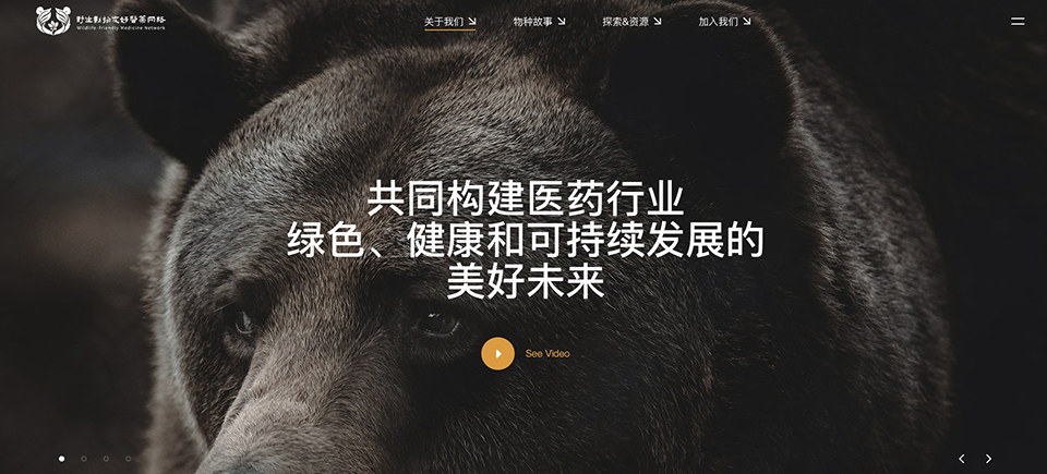 網(wǎng)站開發(fā),網(wǎng)頁設(shè)計(jì)文檔,專業(yè)網(wǎng)站建設(shè)公司