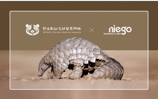 網(wǎng)站開發(fā)