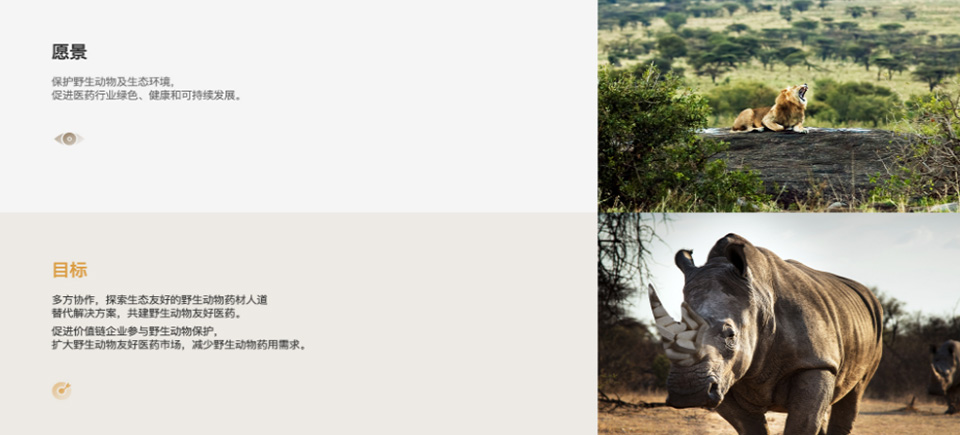 網(wǎng)頁設(shè)計(jì)公司,深圳網(wǎng)頁設(shè)計(jì),深圳高端網(wǎng)頁設(shè)計(jì)